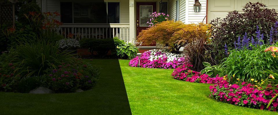 Brownsville Landscapers